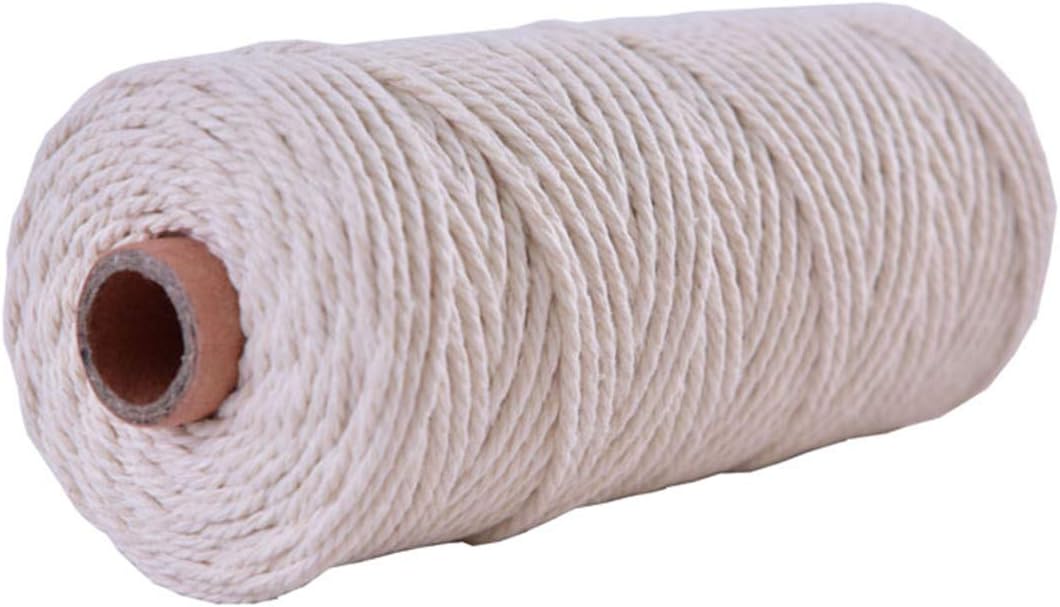 Vivianbuy Ivory 2mm Dia 328ft Macrame Cotton Cord Twist Macrame String Soft Macrame Rope for Handmade Plant Hanger Craft Making and DIY Projects