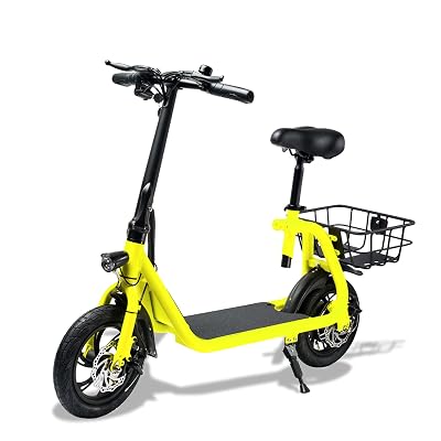 Light Weight Folding Electric Bike 