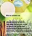 Lush Bath Bombs Set. Organic Bath Bomb Kit for Women & Kids. 8 Bubble Bath Bombs Gift Set. Spa Gift Baskets for Women contains Organic Bath Bombs. Bubble Bath Fizzers are Best Bath Bombs (8 pack)
