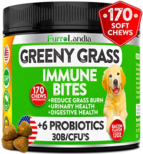 FurroLandia Natural Grass Saver for Dogs - 170 Soft Chews - Dog Pee Lawn Repair Caused by Dog Urine - Grass Saver Rocks - Apple Cider Vinegar - DL-Methionine + Probiotics + Digestive Enzymes - USA