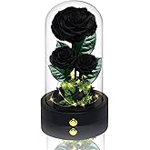 Vryblos 3 Preserved Flowers Roses in Glass Dome with Light for Beauty and The Beast Decor Real Rosas Eternas for Women Mom Birthday,Forever Black Roses for Delivery, Christmas for Wife Girlfriend Her