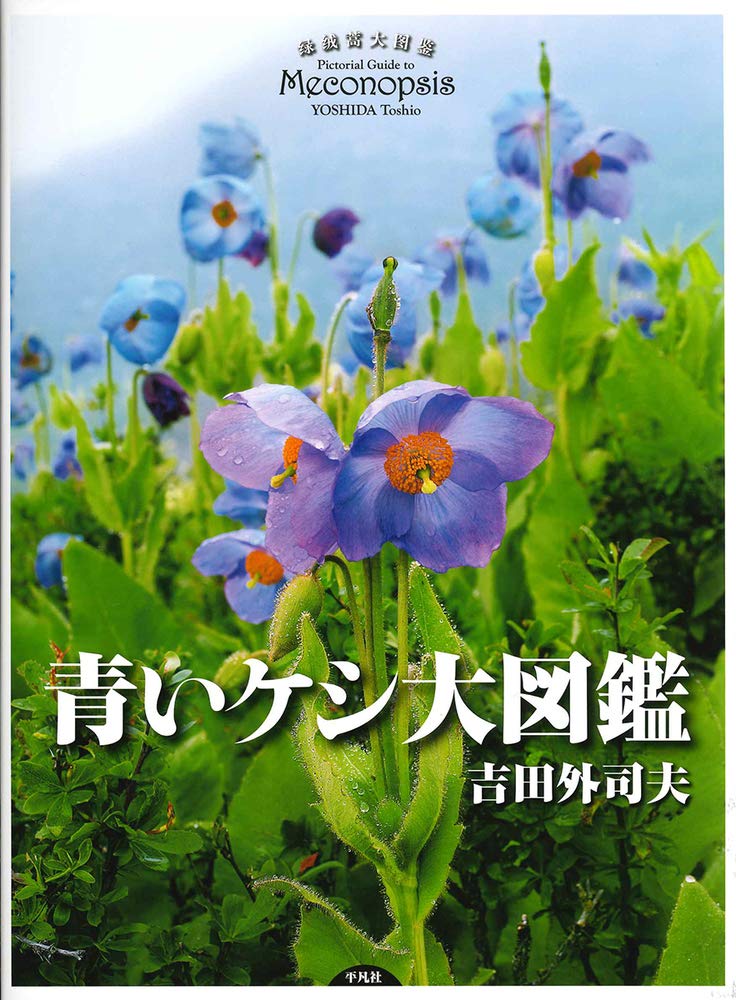 青いケシ大図鑑 吉田 外司夫 本 通販 Amazon