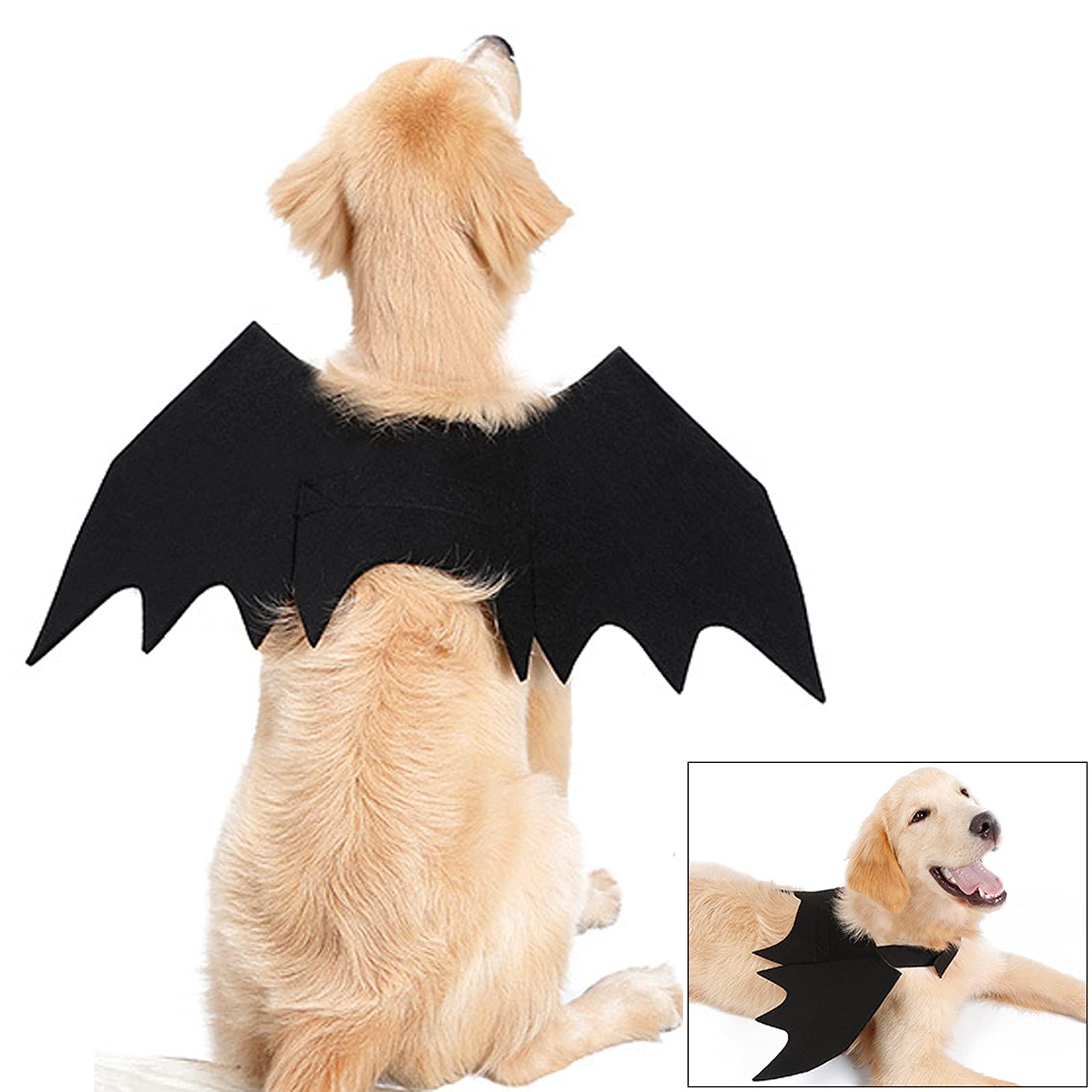 Ranvi Bat Wings for Big Cats Dogs, Dog Bat Wings Costume for Halloween Party Decoration, Halloween Pet Cosplay Dress Up Dog Costume Apparel Accessories(S)