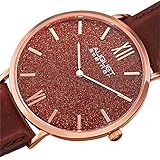 August Steiner AS8211RGRD