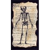 Gifted Living 4NG4824 Enchanted Halloween Skeleton Paper Guest Towels