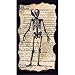 Gifted Living 4NG4824 Enchanted Halloween Skeleton Paper Guest Towels