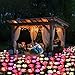 Anordsem Rose Lights Solar Powered for Women: Garden Light Waterproof for Yard Decorations Outdoor - Flower Lamp Colorful Lighting Cemetery Decor - Valentine's Mother's Day Gifts for Mom Wife