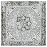 SAFAVIEH Washable Rug Tucson Collection