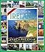 365 Days in Ireland Calendar 2011 (Picture-A-Day Wall Calendars) by 