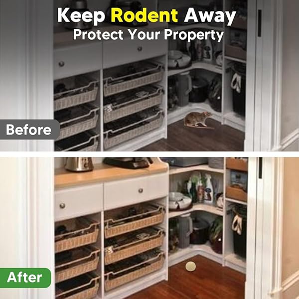 RODENT REPELLENT, MOUSE REPELLENTS OUTDOOR, NATURAL MICE REPELLENT INDOOR,PEPPERMINT OIL TO REPEL MICE AND RATS, KEEP MICE AWAY, RAT REPELLENT FOR HOUSE,RAT DETERRENT INDOOR,GET RID OF MICE-8P