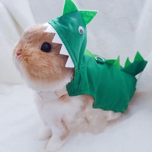 Rabbit Clothes Halloween Costume Dinosaur Harness