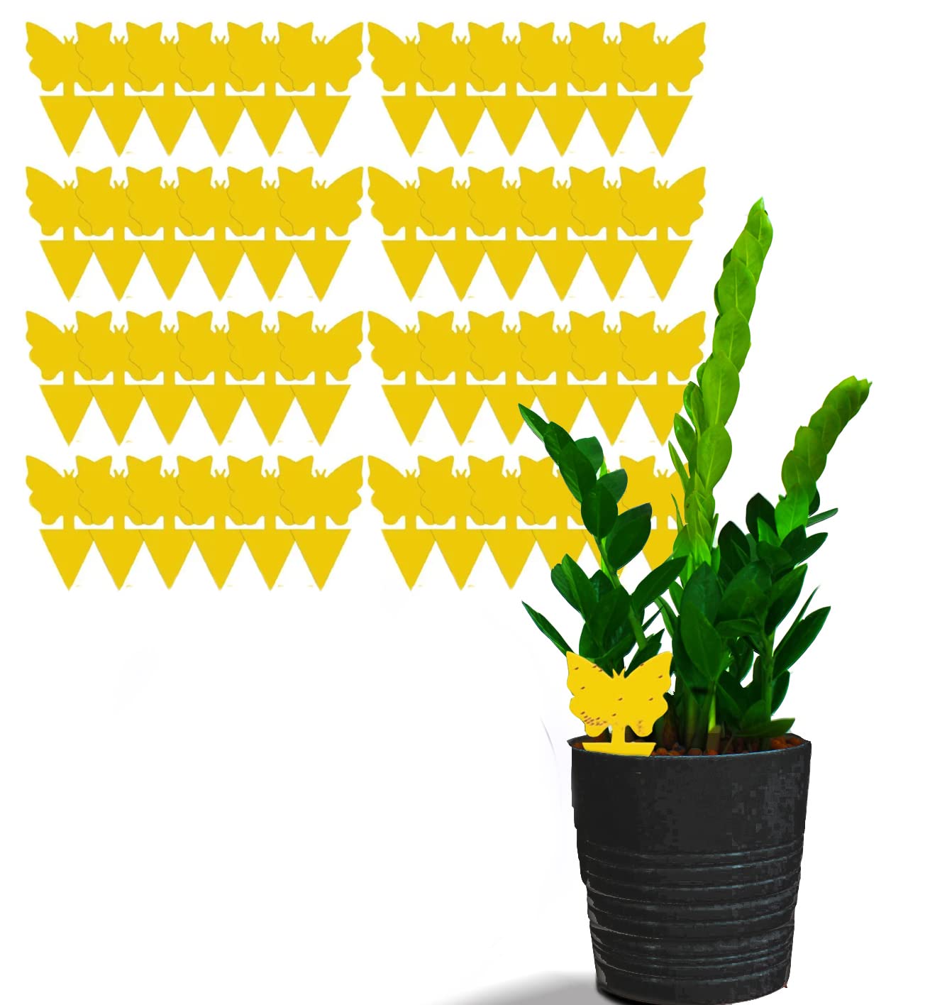 48 Fruit Fly & Fungus Gnat Traps, Double Sided Yellow Sticky Bug Insect Killer for Indoor and Outdoor Plants by unel (48)