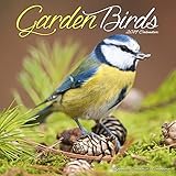 Garden Bird Calendar - Calendars 2018 - 2019 Wall Calendars - Animal Calendar - Garden Birds 16 Mont by