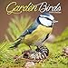 Garden Bird Calendar - Calendars 2018 - 2019 Wall Calendars - Animal Calendar - Garden Birds 16 Mont by