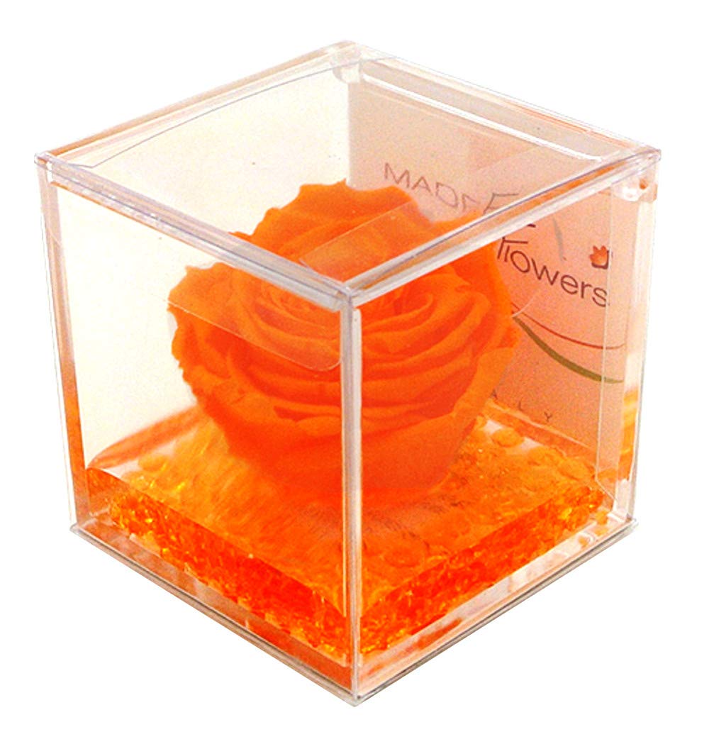 real pink orange stabilized, in plexiglass cube size 8x8x8 (cm), gift, brand "made in flowars", eternal beauty