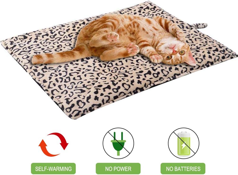 EXPAWLORER Self Heating Cat Pad for Pet, Warming Pet Bed Mat Safety Cat Pad with Leopard Print Great for Puppies and Cats in Cold Weather, Beige : Pet Supplies