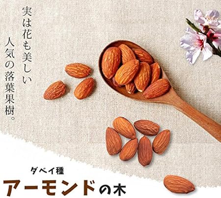 Amazon Co Jp アーモンド 1年生 接ぎ木 苗 ホーム キッチン Amazon Co Jp アーモンド 1年生 接ぎ木 苗 ホーム キッチン