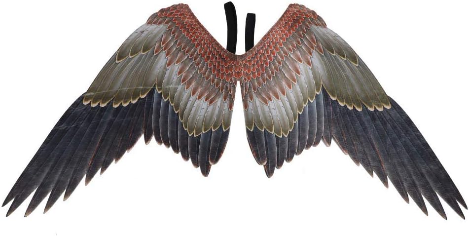 KOET Mardi Gras Interesting Cosplay Costume Holiday Festival Party Angel Wings Eagle (110x70cm)(Eagle Wings,Multi Color)