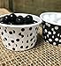 Candy Nut Mini Baking Paper Treat Cups - Black Gold White - 48 Pack