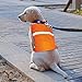 Vizpet Reflective Dog Vest with Lightweight Adjustable Strap & Comfortable Material Ideal to Keep Dogs Safe While Walking & Hunting