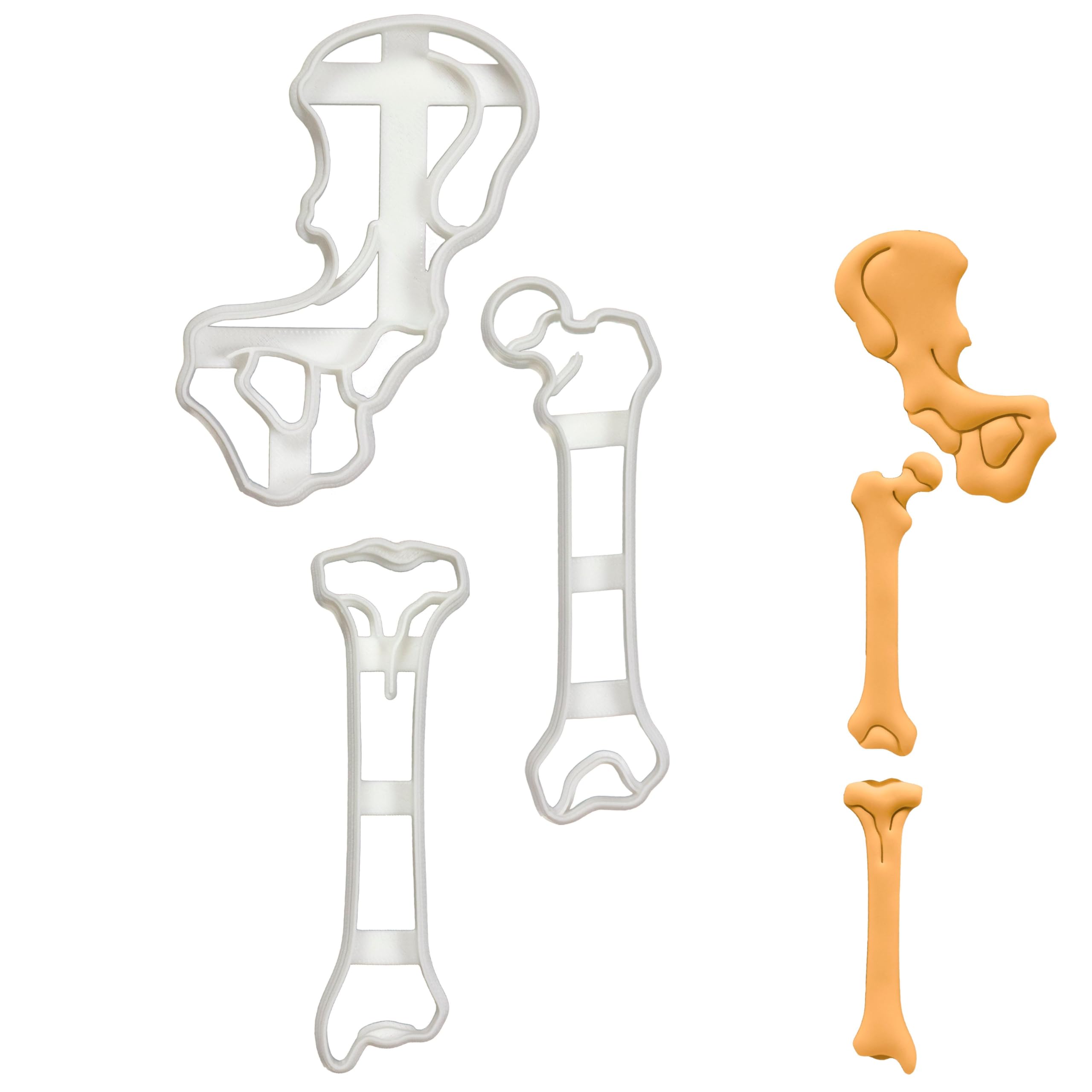 BAKERLOGY Set of 3 Cookie Cutters (Designs: Hip, Femur & Tibia Bone) - Detailed Biscuit Cutter Design for Baking and Crafts, Ideal on Fondant, Dough, Clay