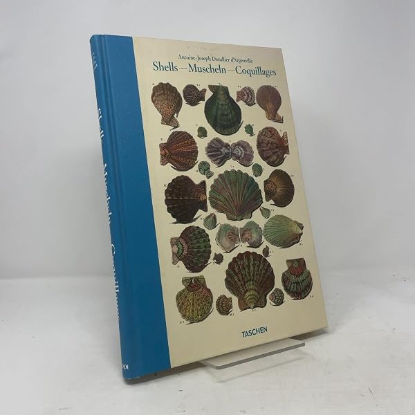 洋書 Shells - Muscheln - Coquillages Shells / Muscheln / Coquillages: Conchology, or The Natural