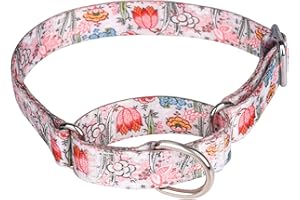 Pimaodog Heavy Duty Nylon Dog Collar, Adjustable Martingale Dog Collar for Walking Training Boy and Girl Dogs Medium Large Dogs (L:45-53CM, White)