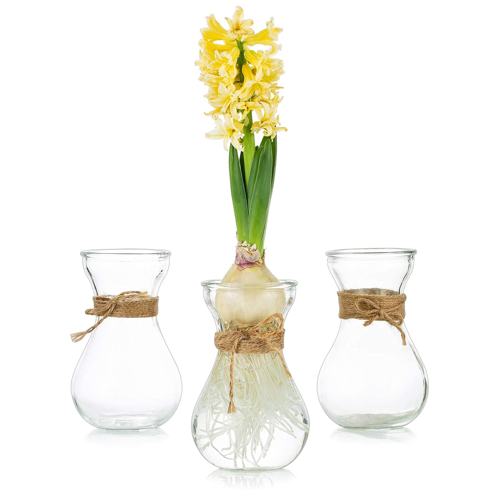 Glass Vases for Flowers with Twine Rope 3 Pcs/Set Floral Arrangements, Flower Vase Glass, Crystal Bud Vases Creative for Wedding, Home, Kitchen, Garden Balcony Decoration