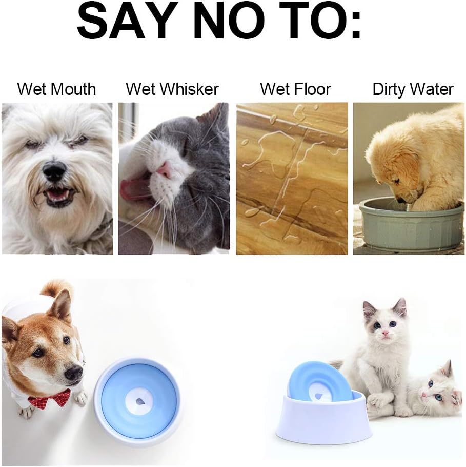 dog choking on water