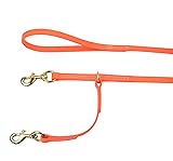 5/8 Inch x 6 Feet RedLine K-9 All Weather Prong