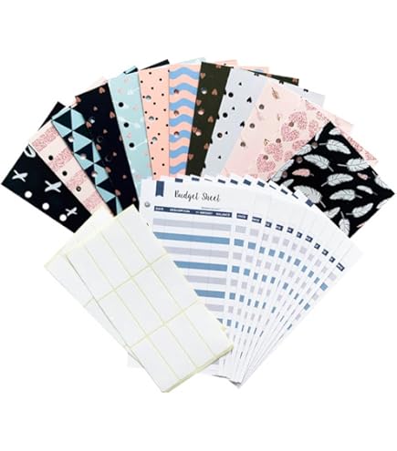 Enveloppe De BudgéTisation, Ensemble De 15 Classeurs BudgéTaires, Avec