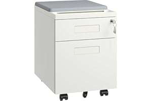 DARTIIA 2 Drawer Mobile File Cabinet with Removable Magnetic Cushion Seat,Metal Filing Cabinet，Delivered with Envelopee,Fully Assembled,White