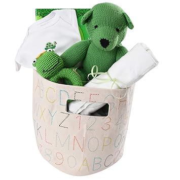eco friendly baby gift baskets