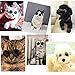 Coolrunner Cute and Funny Pet Sunglasses Classic Retro Circular Metal Prince Sunglasses for Cats or Small Dogs Fashion Costume