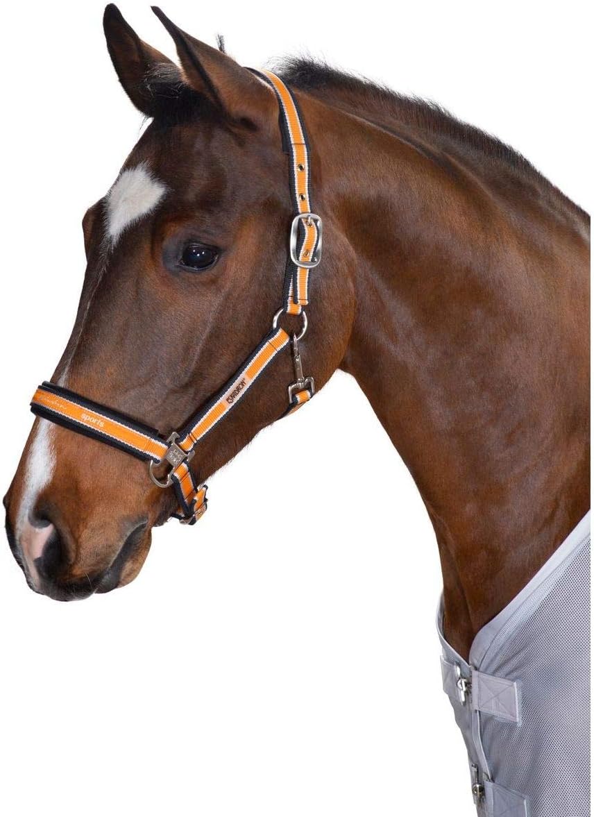 Eskadron - headcollar Striped - Classic Sports