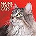 Just Maine Coon Cats 2017 Calendar