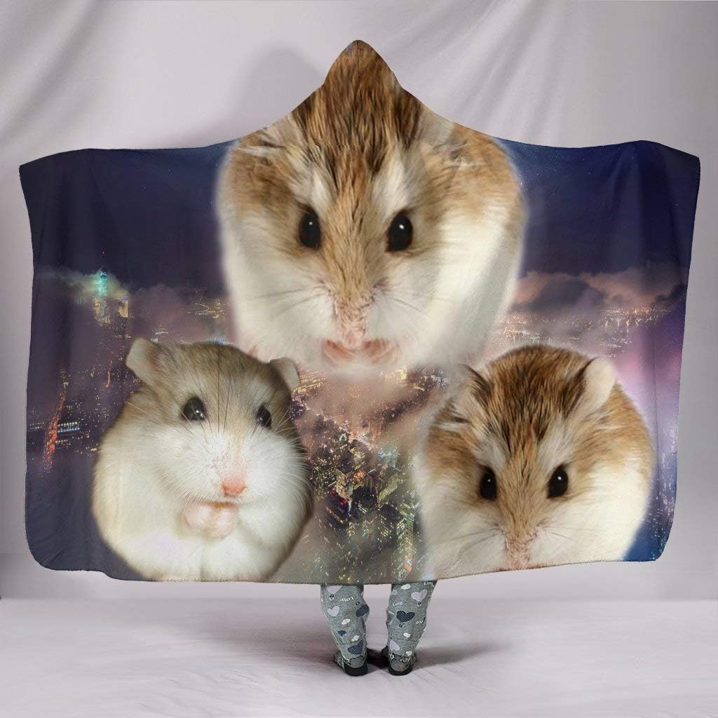 cute roborovski hamster