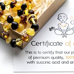 Amber Guru Baltic Amber Necklace