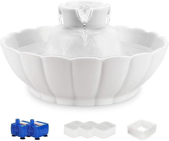 purina beyond superfood salmon