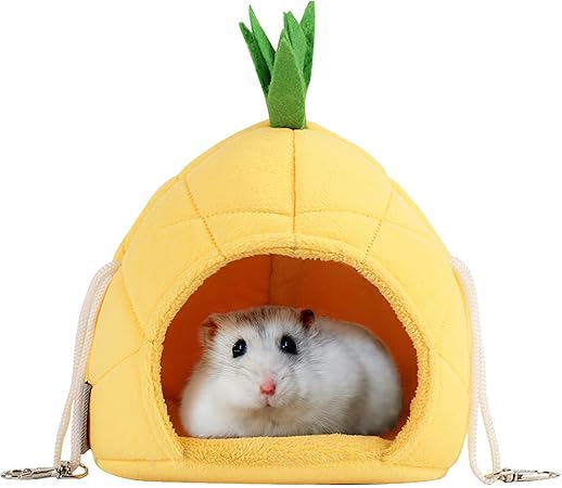 hamster mesh