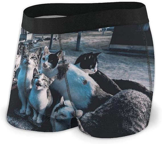 Amazon メンズ 下着 男性 肌着 ショーツ ボクサーパンツ にゃんこ 猫柄 立体 吸湿 速乾 快適 通気 ボクサー 通販