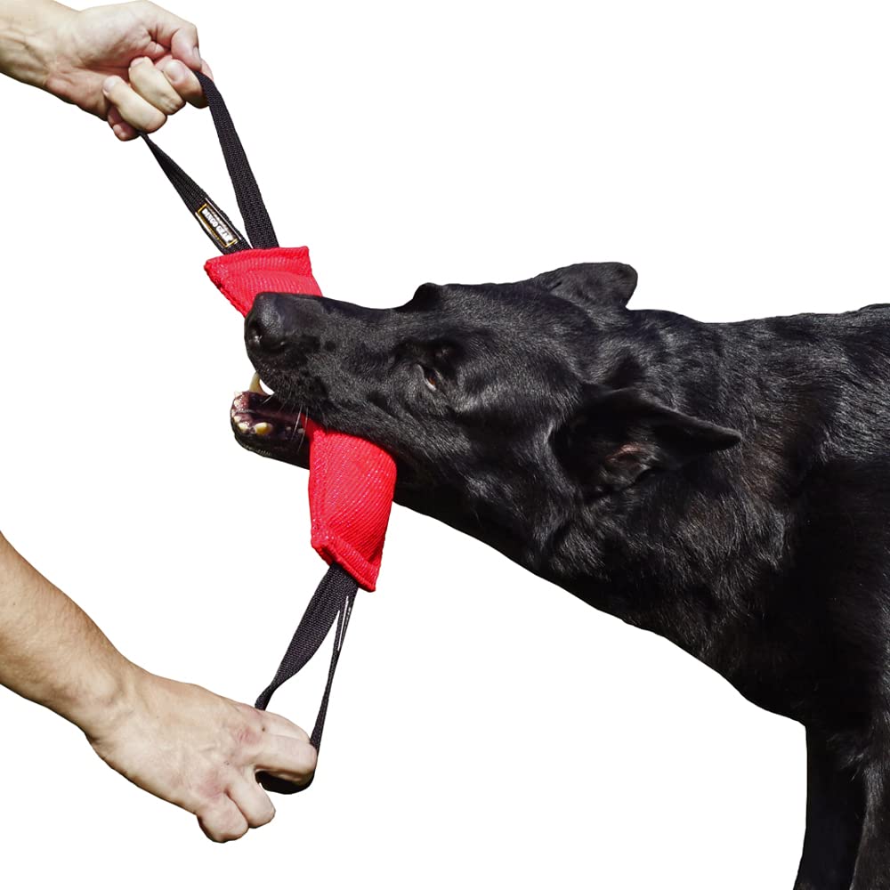 DINGO GEAR Nylcot Bite Tug for Dog Training K9 IGP & Fun, 2 Handles, Red 28 x 7 cm