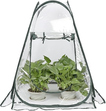 Amazon Com Pannow Mini Greenhouse Pvc Indoor Outdoor Backyard
