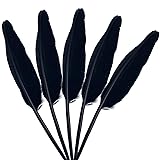 LWINGFLYER 25pcs Black Long Goose Feathers 10-12