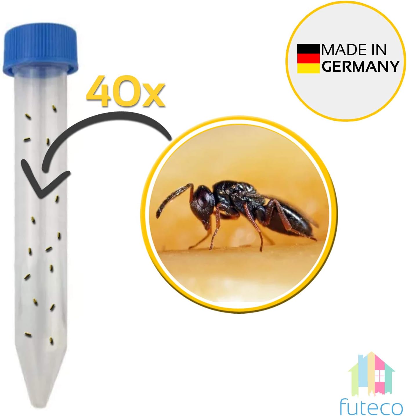 Futeco – Brotkäfer & vieles mehr bekämpfen mit Lagererzwespen (40 Tiere ...