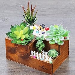 Supla 5 Pcs Assorted Artificial Succulents Plants