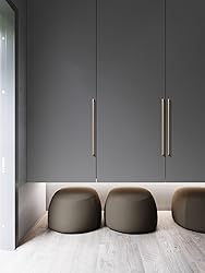 Goo-Ki Brushed Brass Zinc Alloy Cabinet Pull,Modern
