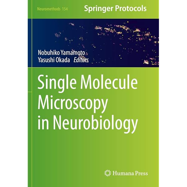 Three-Dimensional Electron Microscopy of Macromolecular Assemblies