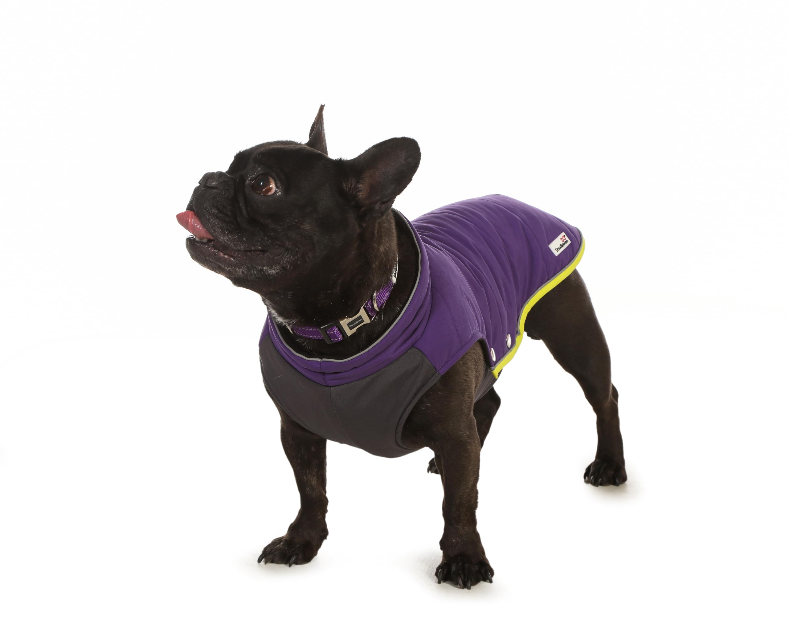 Doodlebone Dog Puffer Jacket (Violet, 1-2)