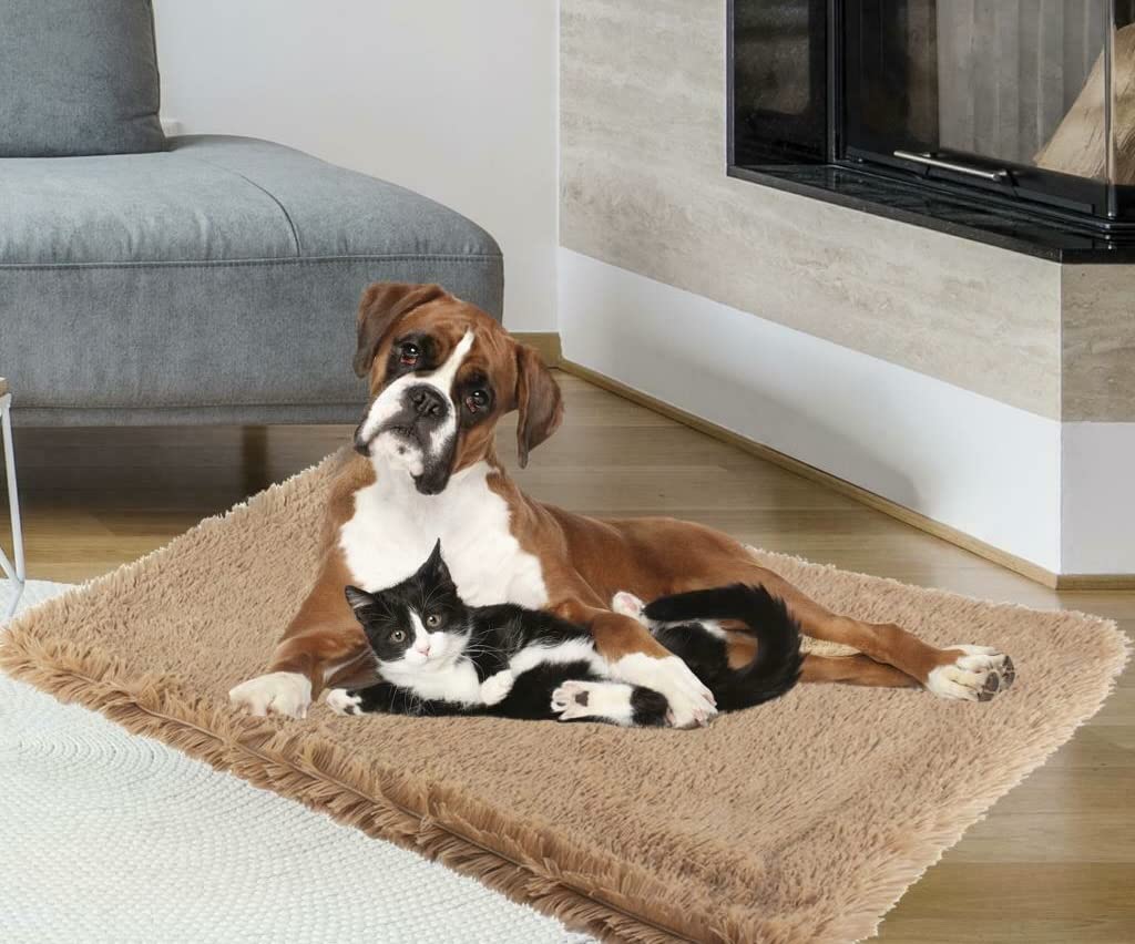 ADEPTNA Luxury Throw for Pet Dog Cat Puppy Soft Fluffy Microfibre Fleece Blanket super soft Cosy Warm Winter (Medium 54 x 78cm)
